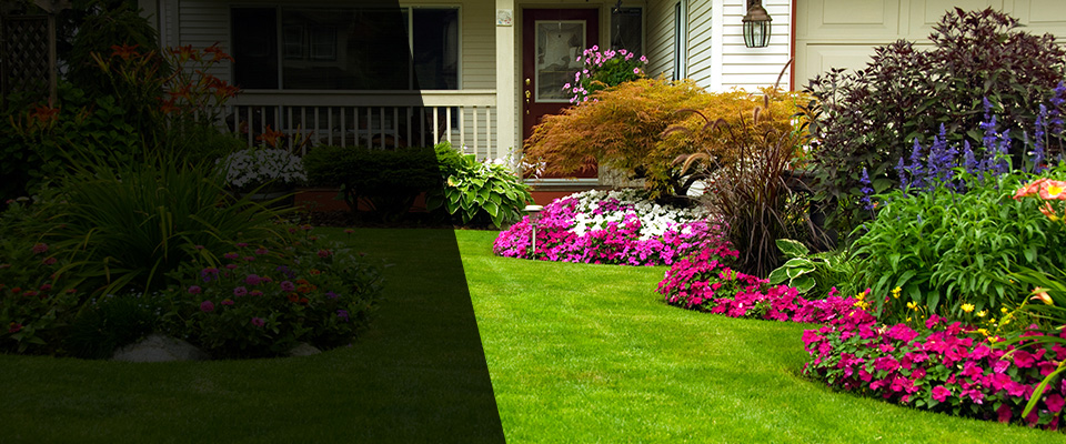 Soquel Landscapers