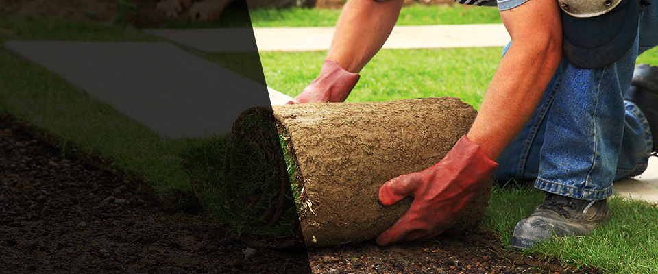 Soquel Landscapers